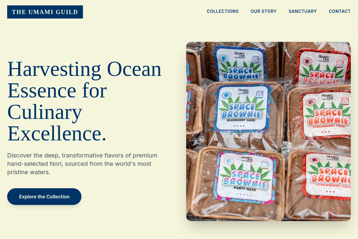 Nori Specialty Food